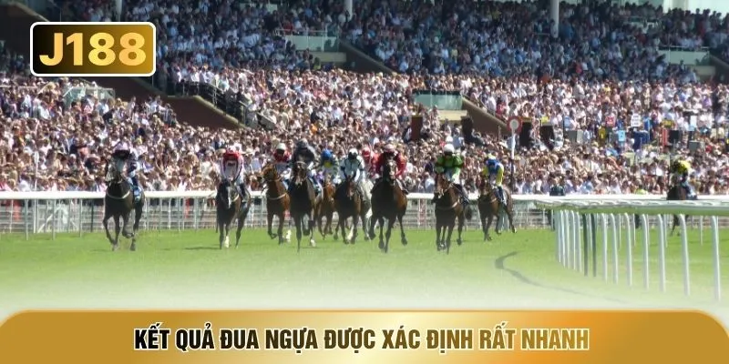 Kết quả đua ngựa được xác định rất nhanh 